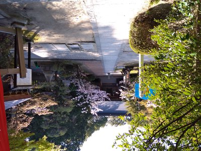 ⛩️ 오카미 신사 이미지 2